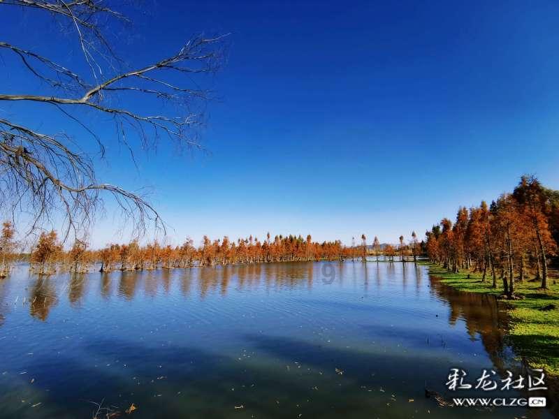 以为是部烂剧，没想到越看越上头，好一部精彩的轻喜剧！