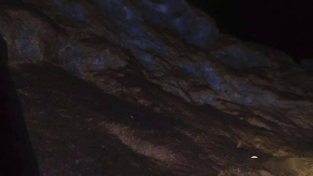 逗小猴开心系列164