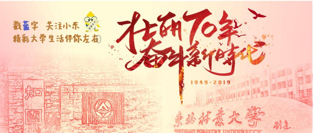欢乐打砖块2选关版