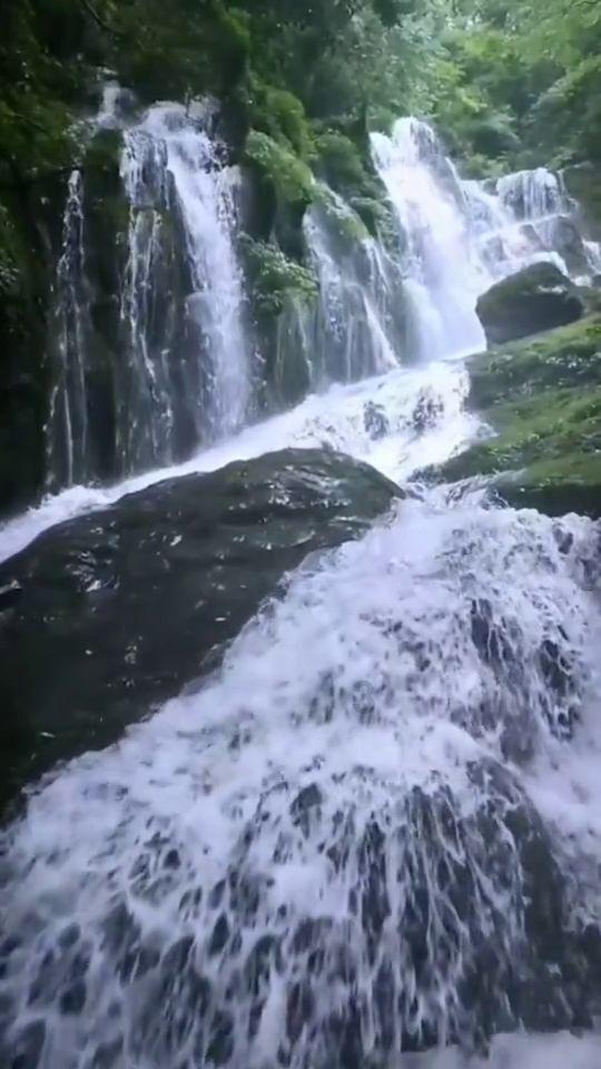 岁寒时节情意浓,关心慰问民心暖!苏州工业园区娄葑街道开展走访慰问活动