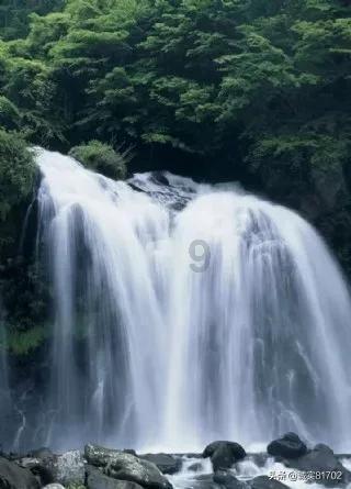 逃离世界杯的现场