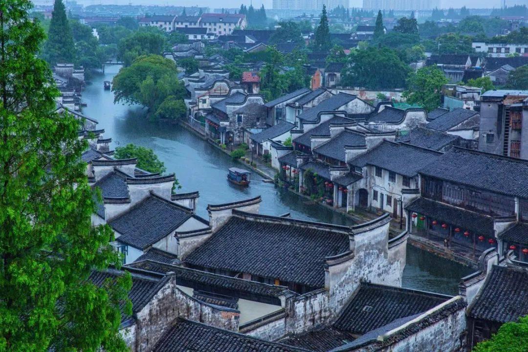 拯救精灵的土地8