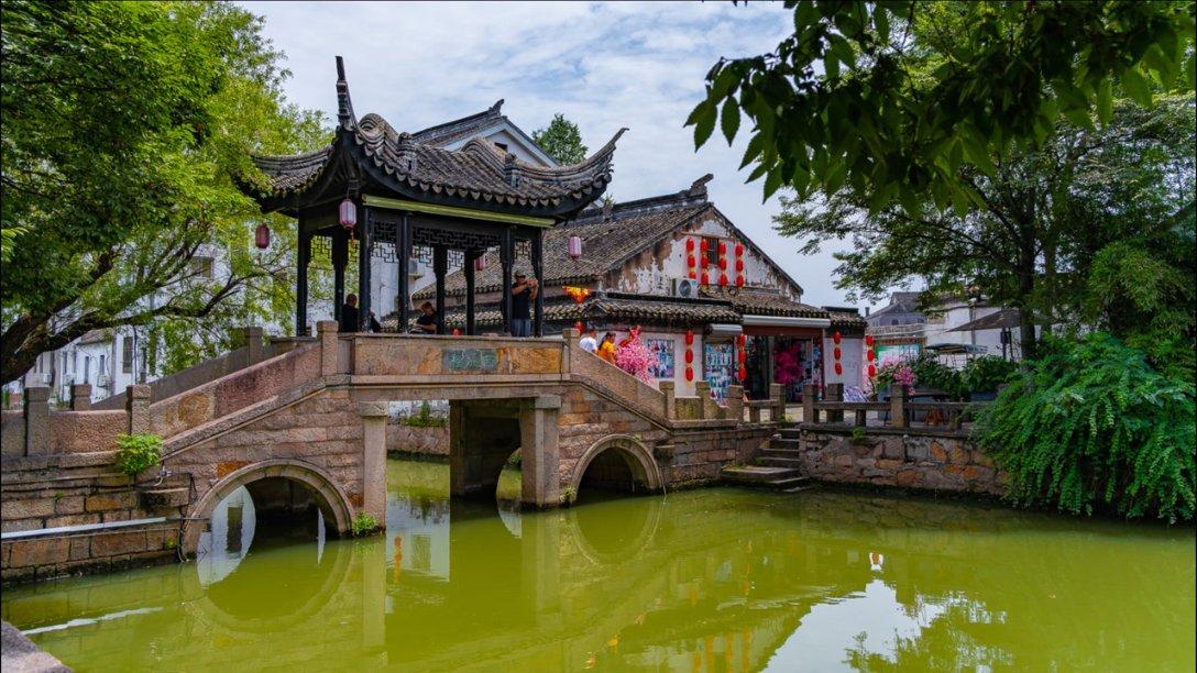 什么是蒲草？游戏画面
