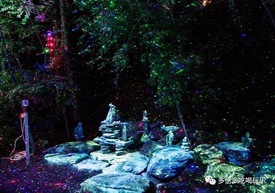 赶临清大集 感受运河岸边的浓浓年味儿